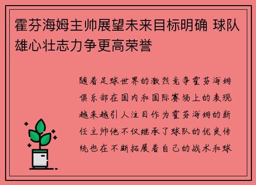 霍芬海姆主帅展望未来目标明确 球队雄心壮志力争更高荣誉 霍芬海姆主帅展望未来目标明确 球队雄心壮志力争更高荣誉